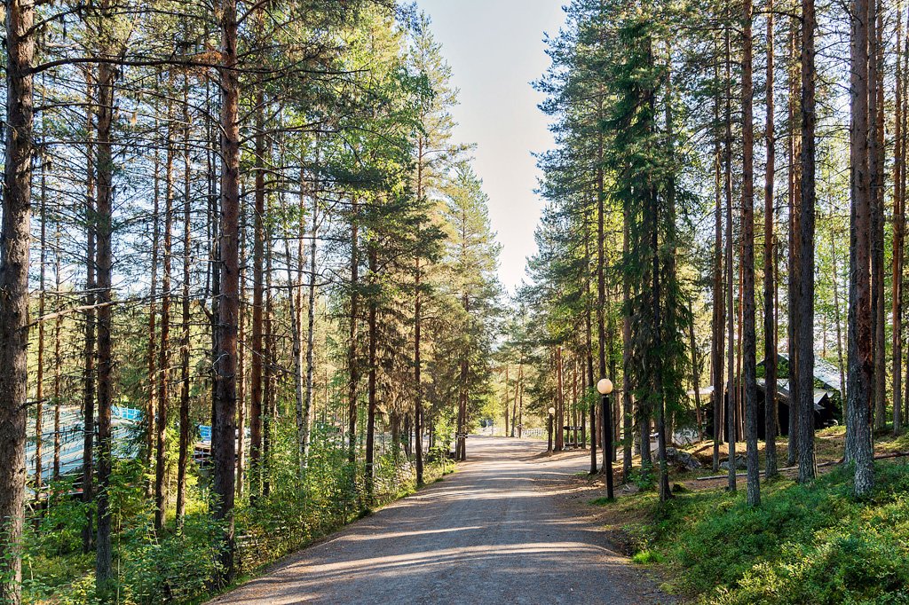 Storforsens nature reserve (Storforsen)